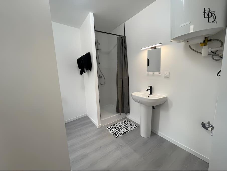 T1 Bis Appartement B3 30M2 Cosy 7Min A Pieds Des Gares Roanne Exterior photo